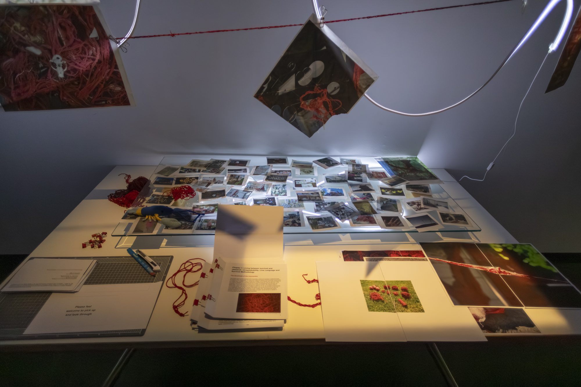 A table spread with photographs, papers and red yarn under hanging prints