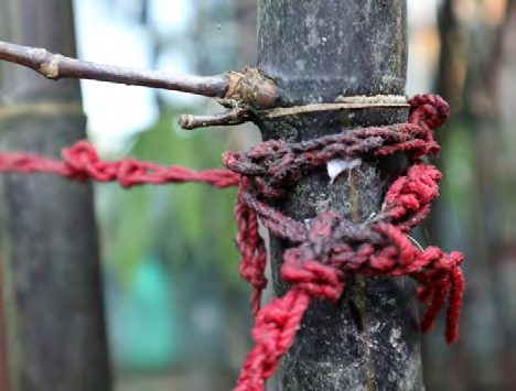 Crocheted red yarn tied around a branch
