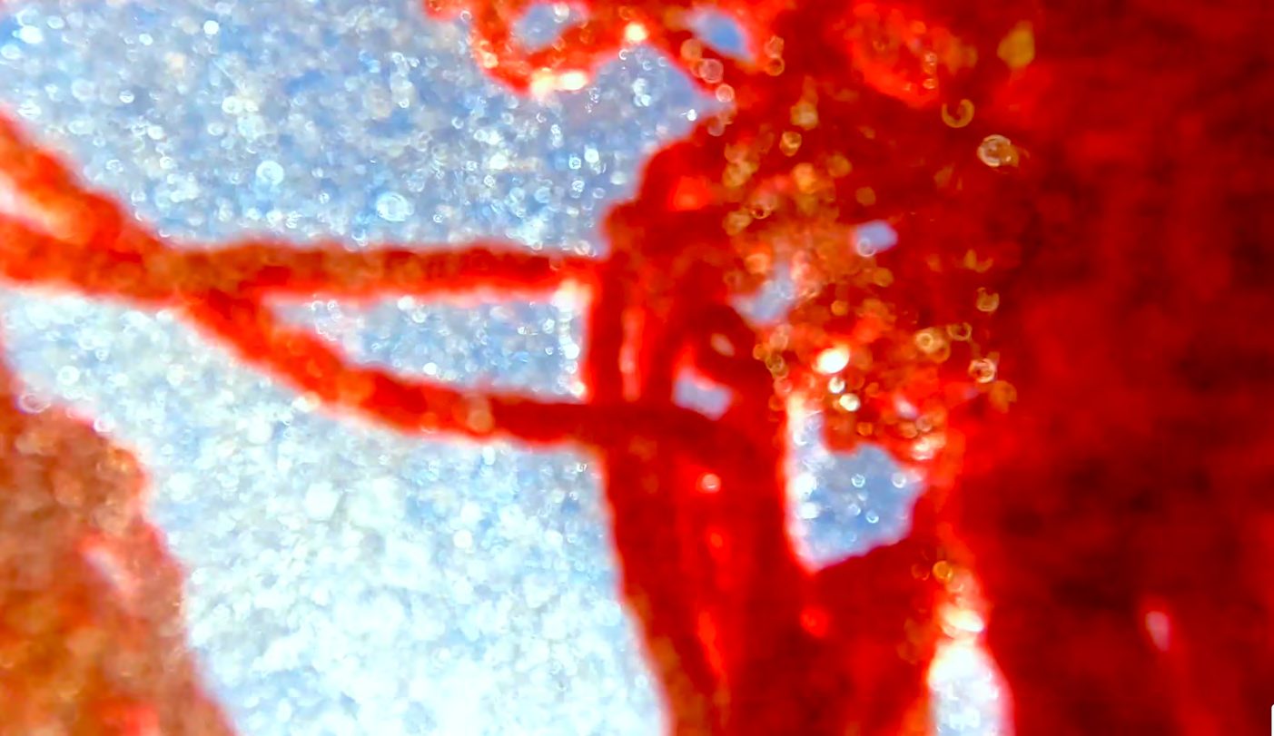 Red yarn seen underwater, close up