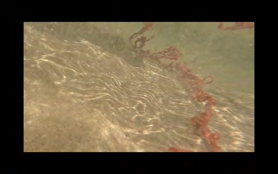 Red yarn moving through shallow water