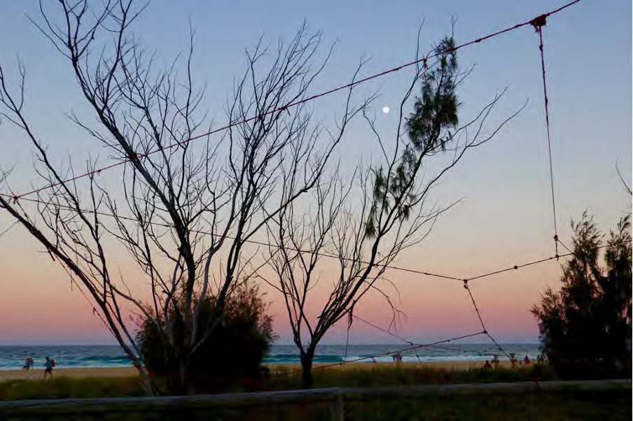 A web of yarn among bare trees at dusk