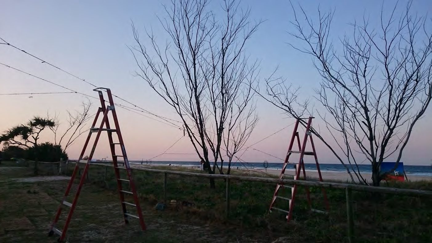Two stepladders holding yarn lines among bare trees on the foreshore
