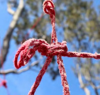 A knot of red yarn against the sky