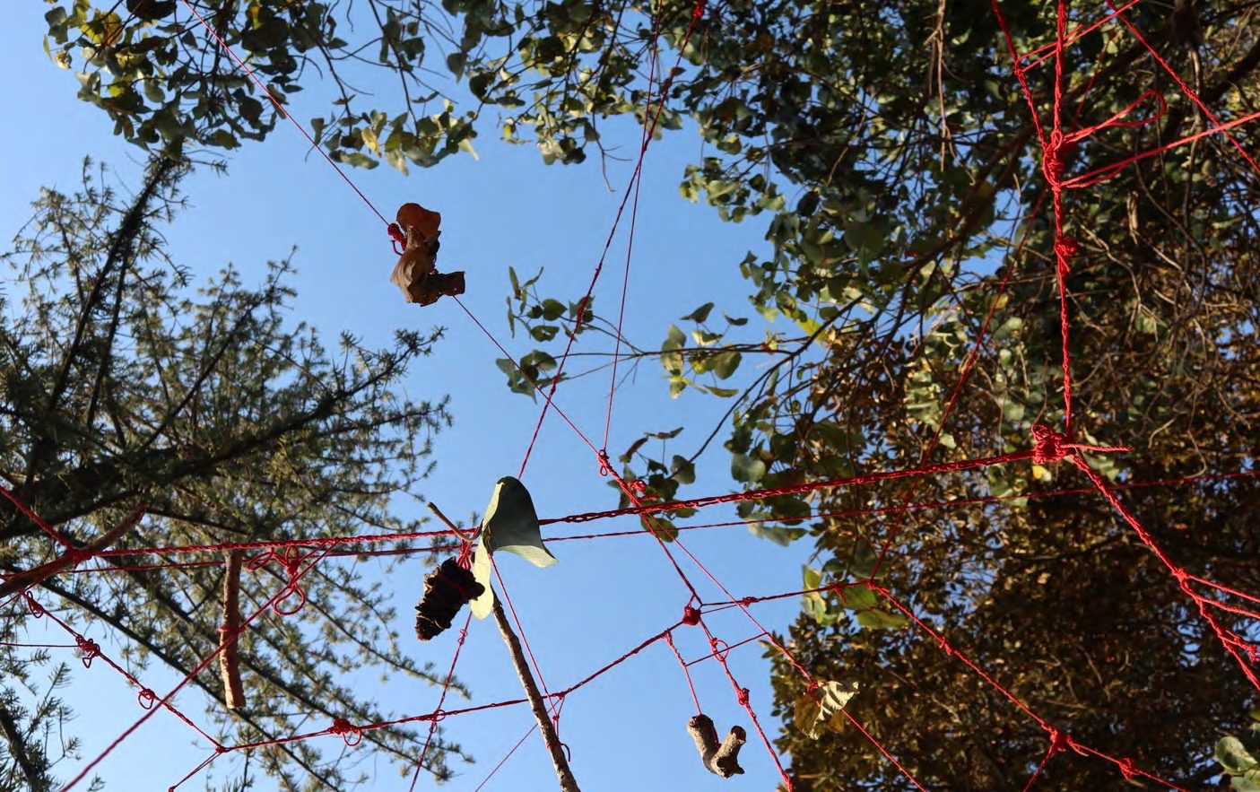Red yarn strung between trees against a blue sky